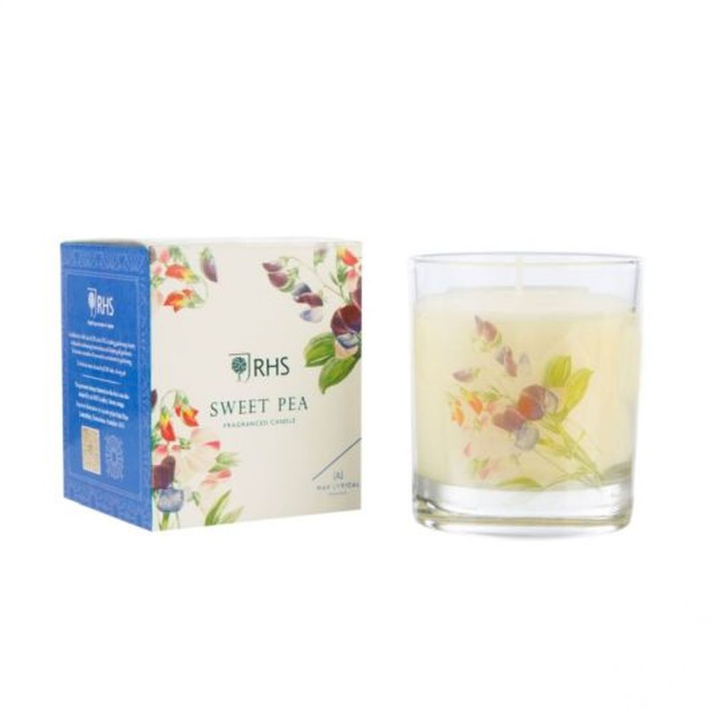 #W/F MEDIUM SWEET PEA
