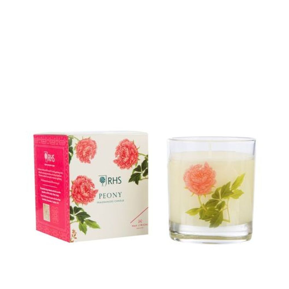 W/F MEDIUM PEONY