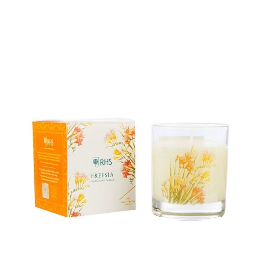 #W/F MEDIUM FREESIA
