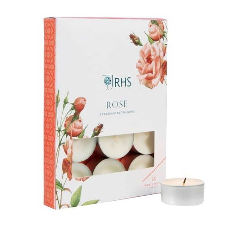 #PK/12 TEALIGHT ROSE