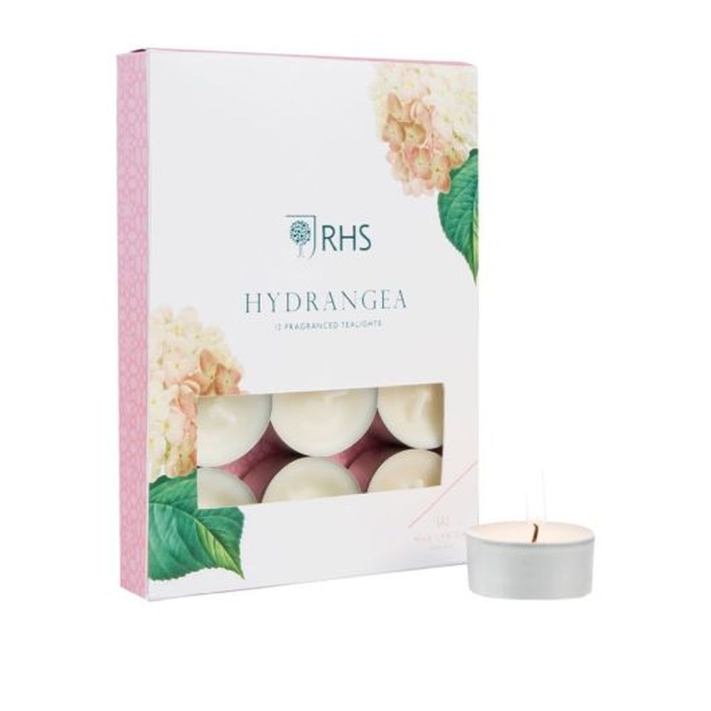 #PK/12 TEALIGHT HYDRANGEA