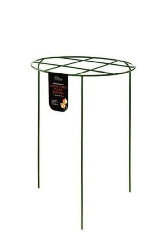 Urban Garden Grow - Thru - Medium