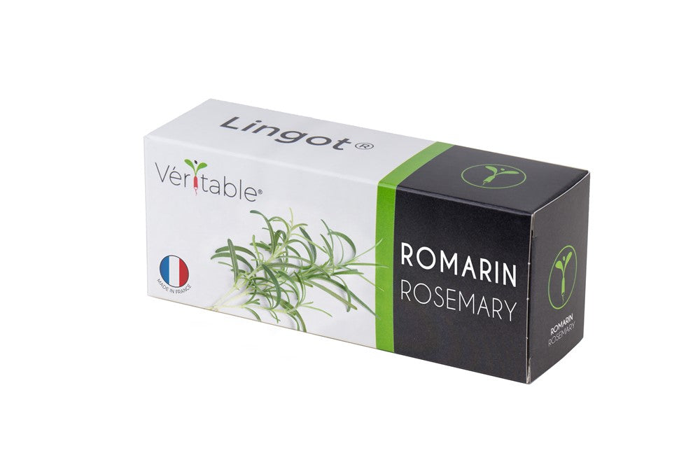 LINGOT ROSEMARY - CLASSIC