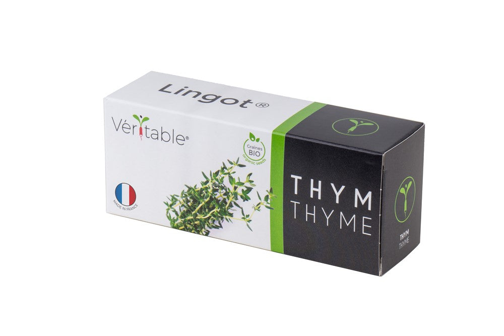 LINGOT THYME - CLASSIC