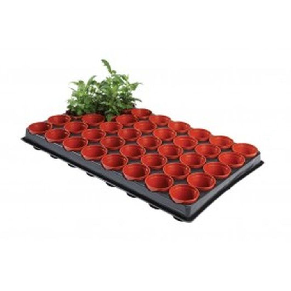 Professional Seed & Cutting Tray