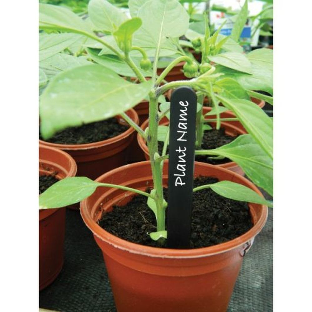15cm (6") Black Plant Labels