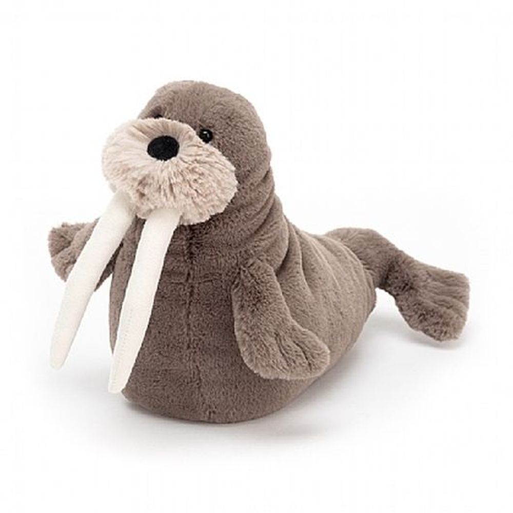 Willie Walrus Little