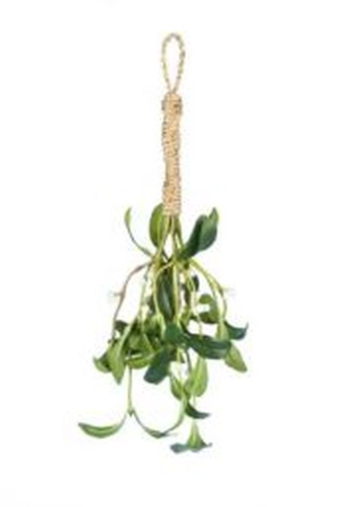Kiss Mistletoe Bundle-40