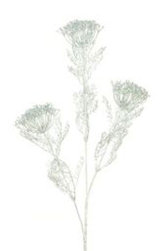 Glittered Dill Spray x 3 71cm