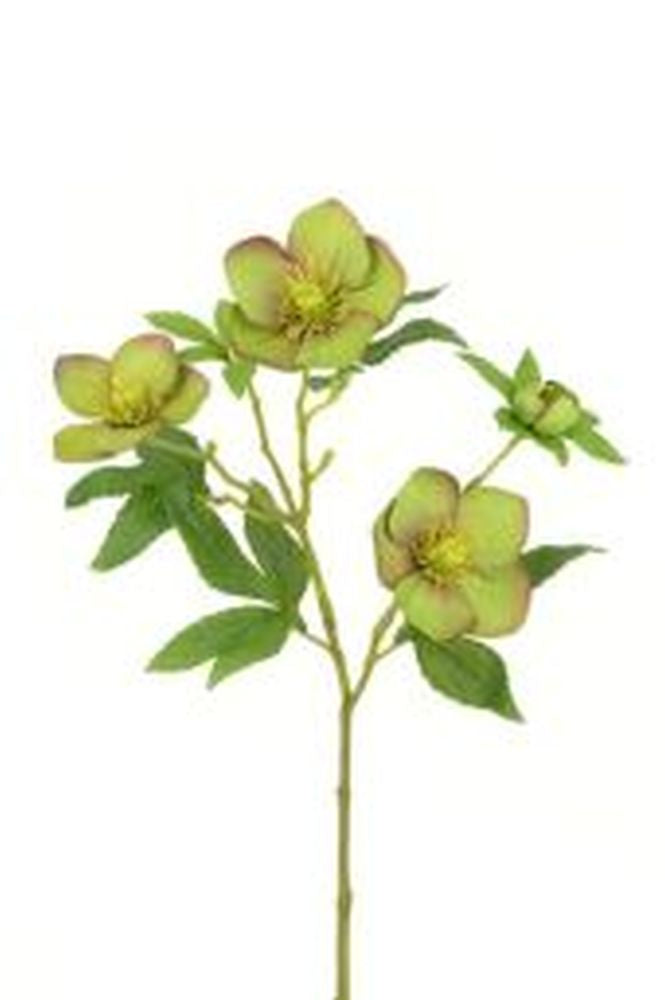 Hellebore Spray 45cm