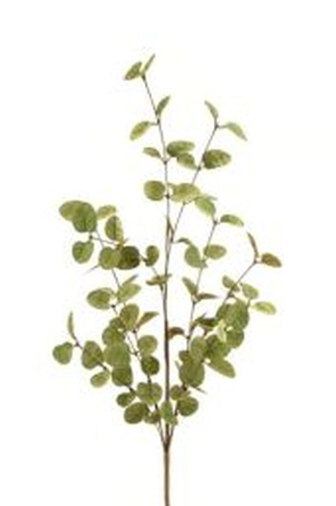 Eucalyptus Spray 85cm