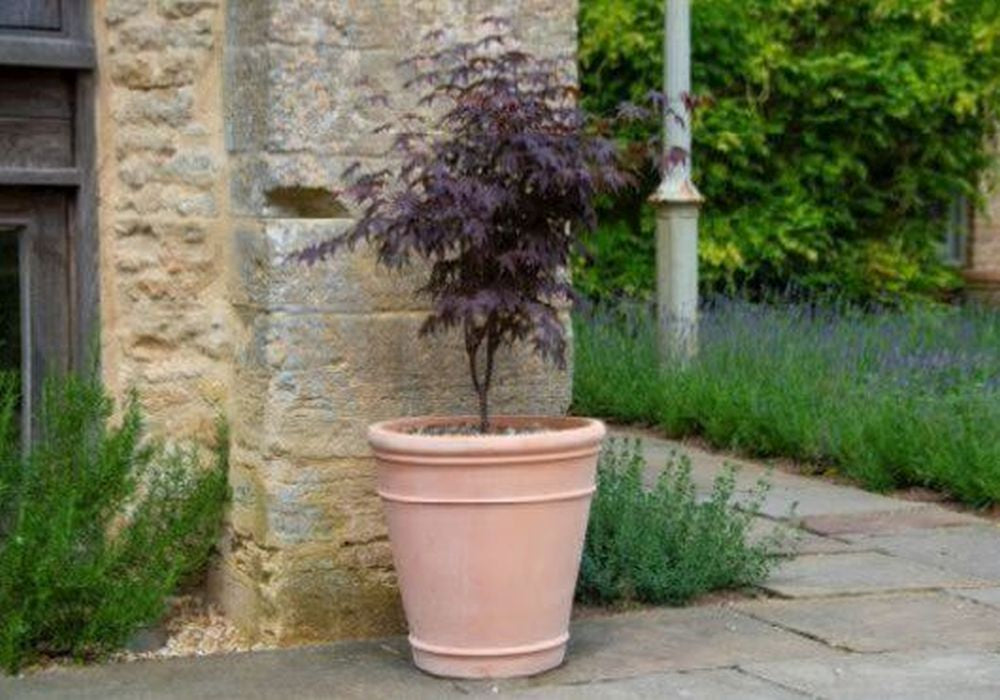 No.2 Madison Pot