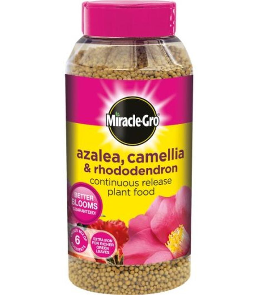 Mgro Azalea SR PF 1KG