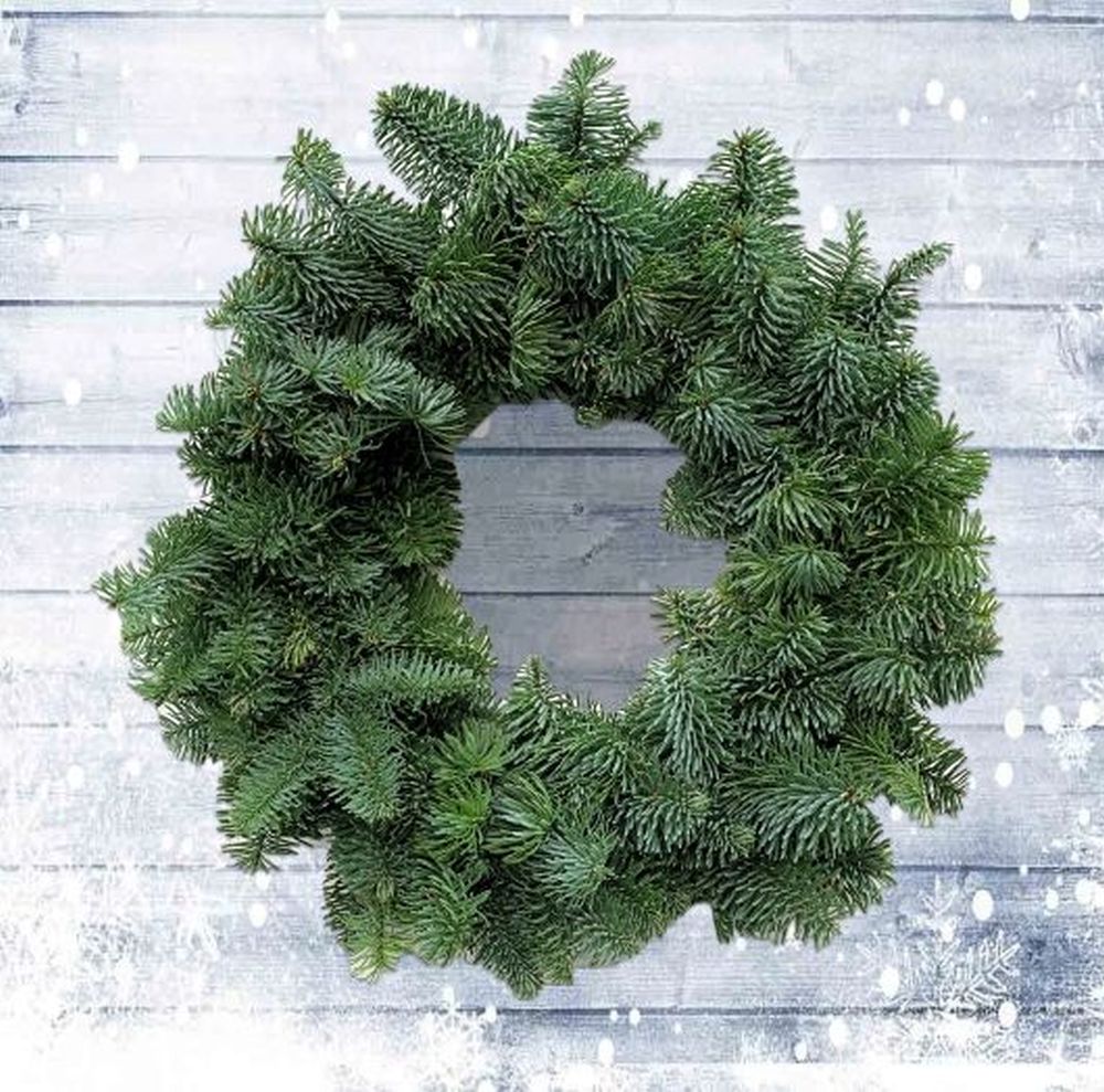 Classic Plain Foliage Wreath