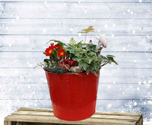 Festive Large Planter 24cm