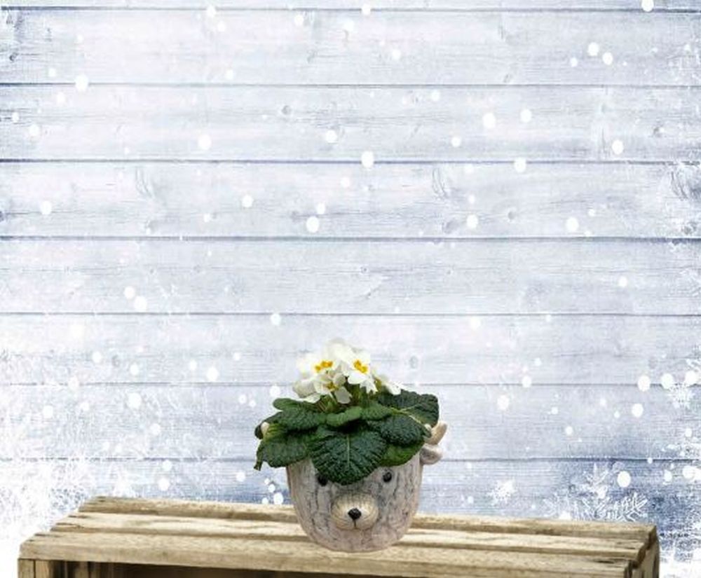 Winter Polar Bear 15cm