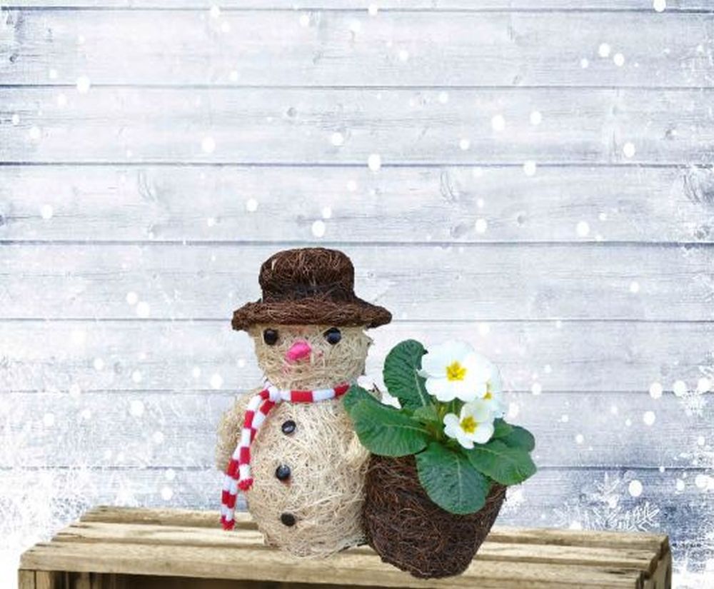 Novelty Snowman