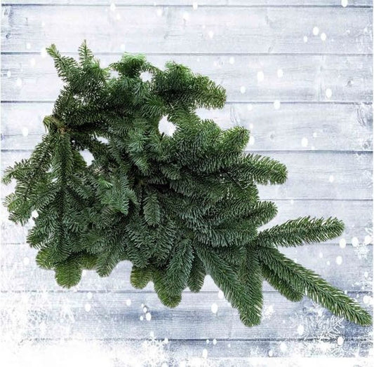 Foliage Bundle