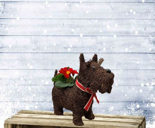 Novelty Scotty Dog