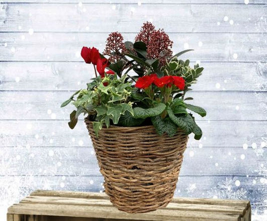 Winter Log Basket 25cm