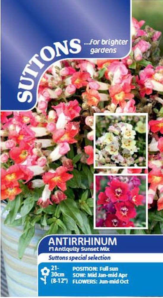 Antirrhinum F1 Antiquity Sunset Mix