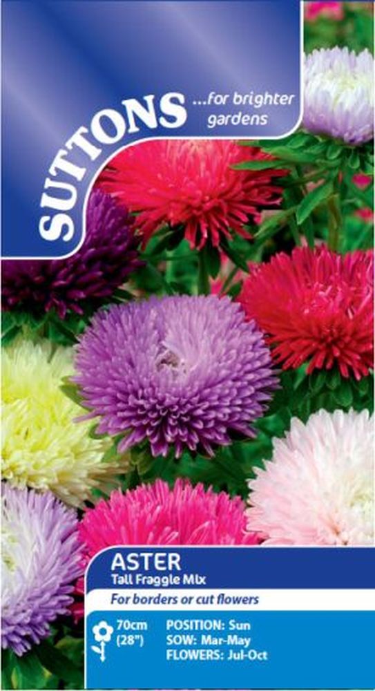 Aster Tall Fraggle Mix