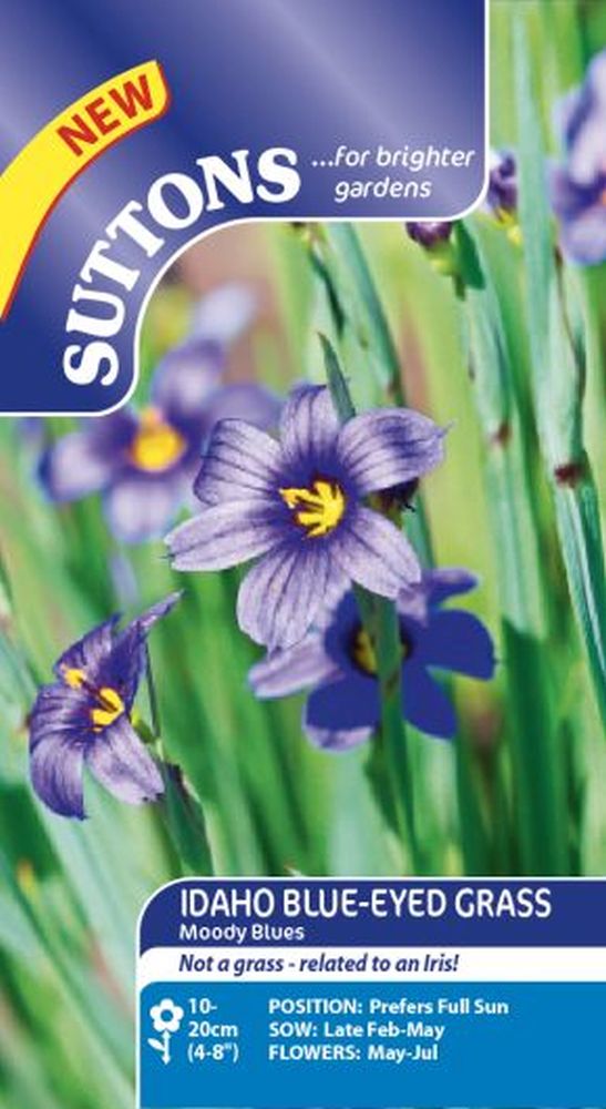 Idaho Blue-Eyed Grass Seeds - Moody Blues