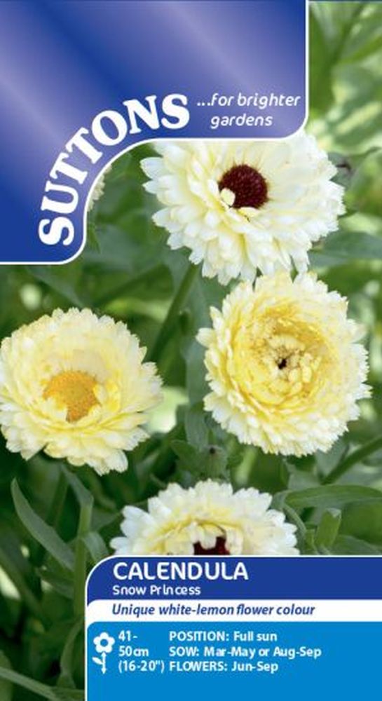 Calendula* Snow Princess