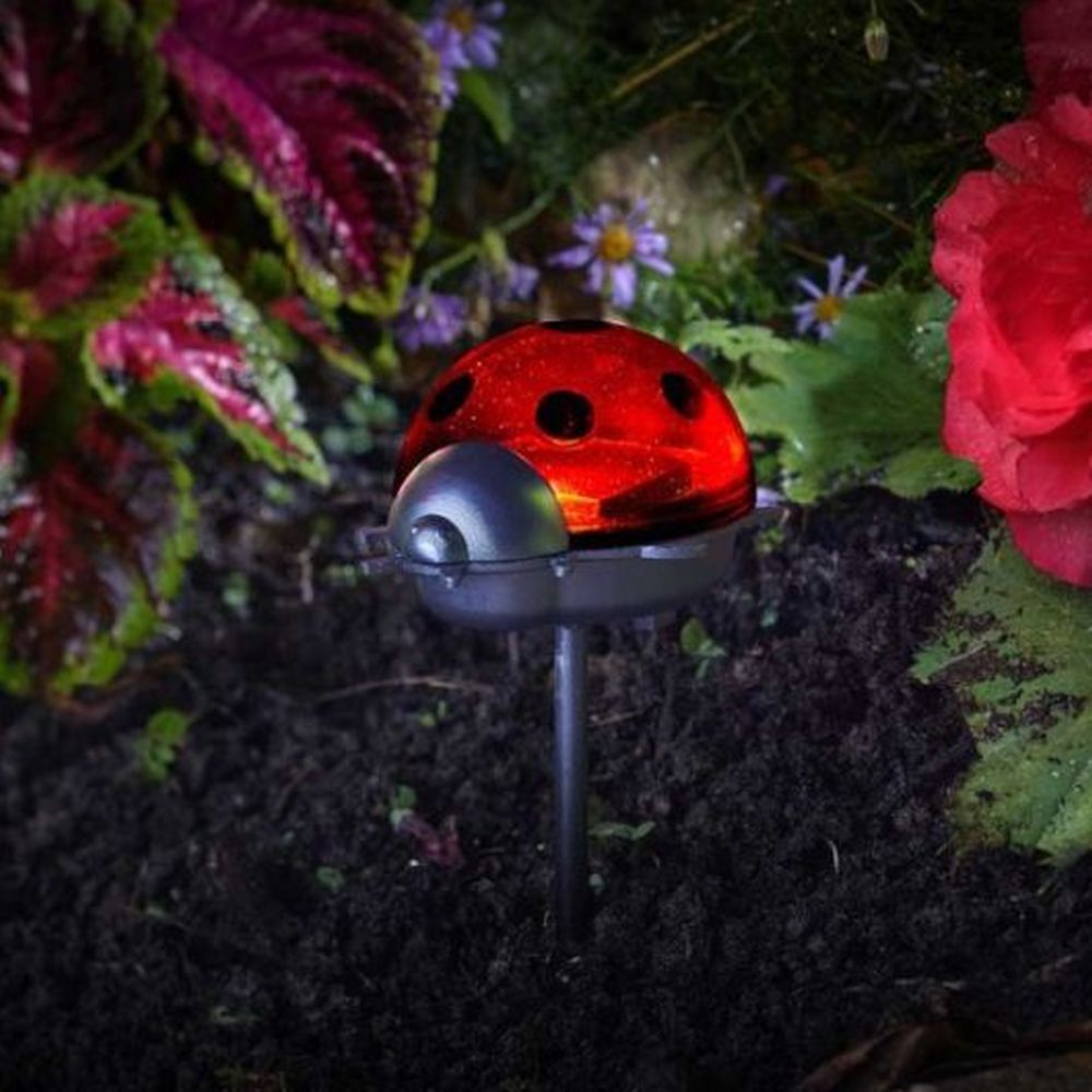 Ladybirds - Triple Pack