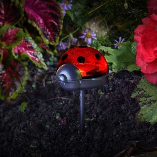 Ladybirds - Triple Pack
