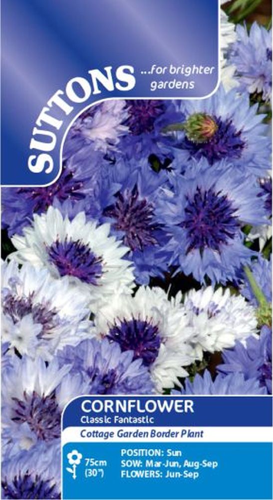Cornflower Classic Fantastic