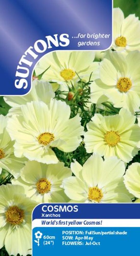 Cosmos Xanthos