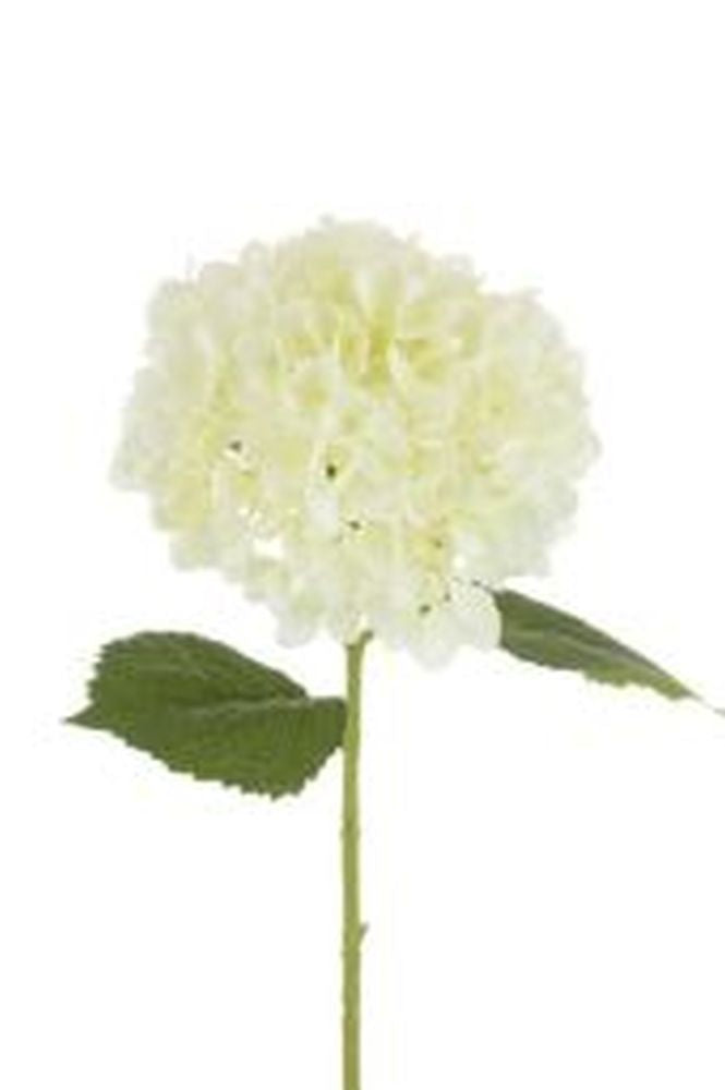 Hydrangea 65cm