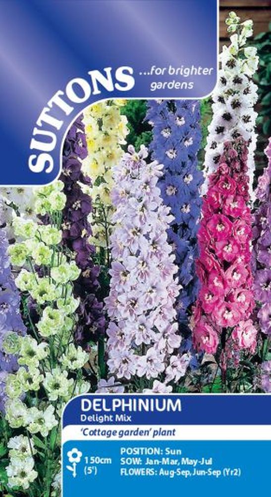 Delphinium Delight Mix