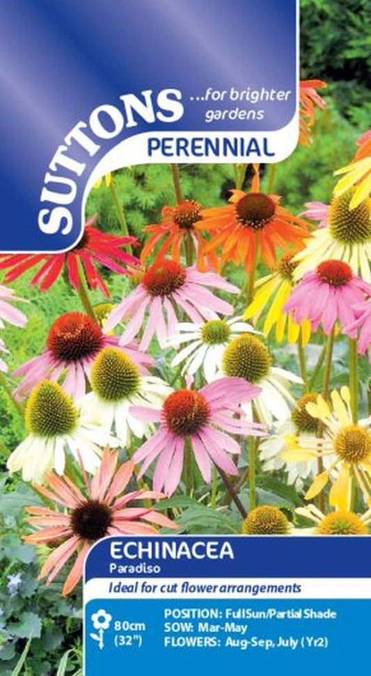 Echinacea Paradiso Mix