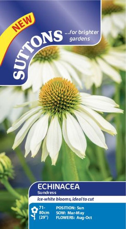 Echinacea Seeds - Sundress