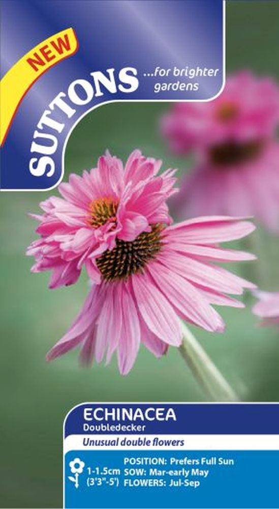 Echinacea Seeds - Doubledecker