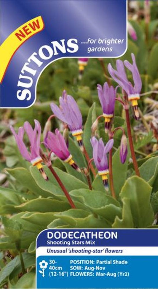 Dodecatheon Seeds - Shooting Star Mix