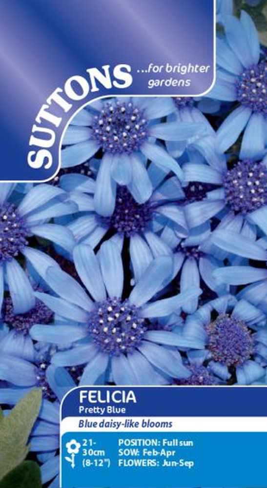 Felicia Pretty Blue