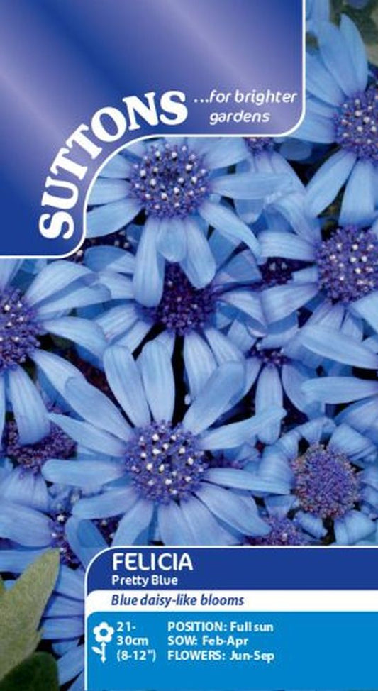 Felicia Pretty Blue