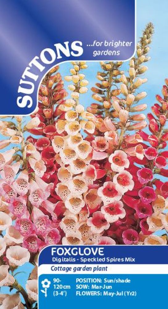 Digitalis Seeds - Speckled Spires Mix