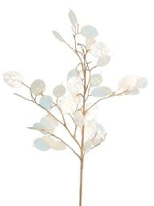 Honesty Spray x48L White-76cm