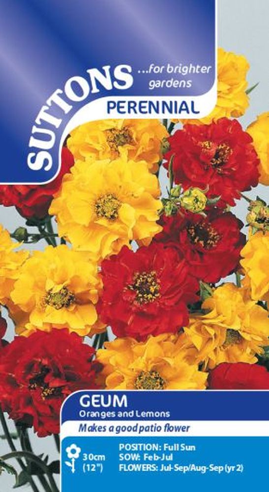 Geum Oranges And Lemons