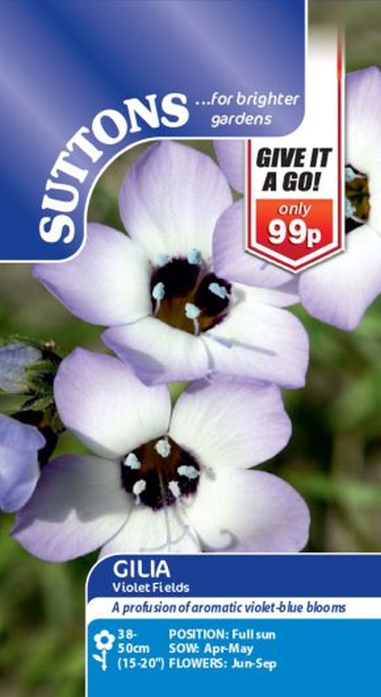 Gilia Violet Fields