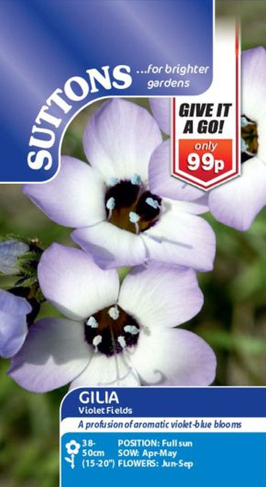 Gilia Violet Fields