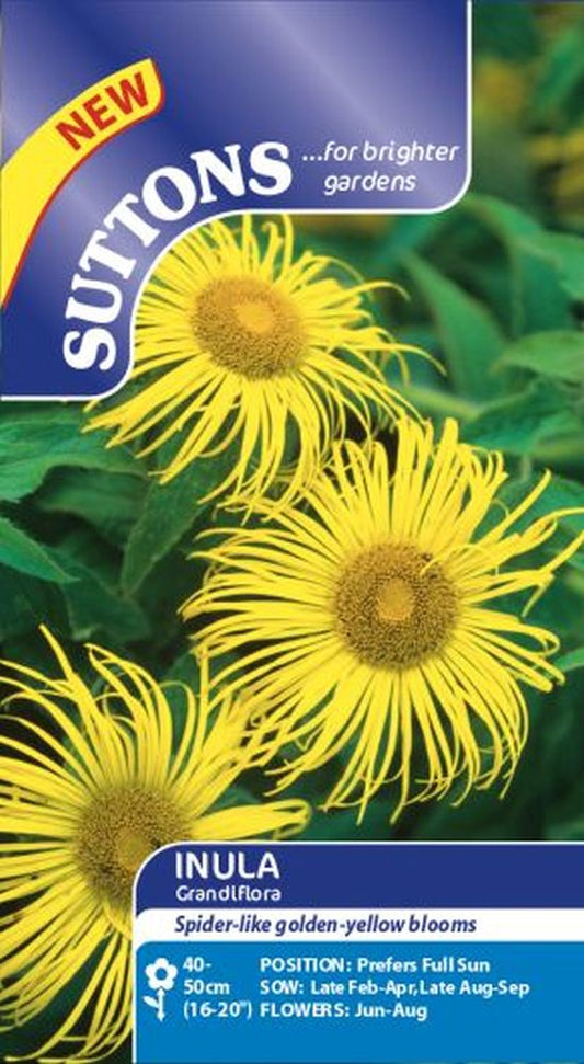 Inula Seeds - Grandiflora