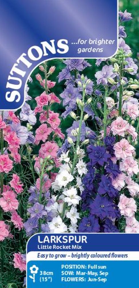 Larkspur Seeds - Little Rocket Mix