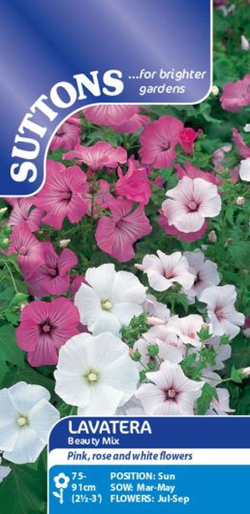 Lavatera Beauty Mix