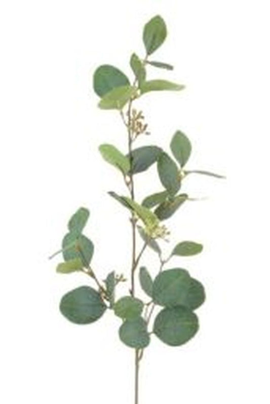 Eucalyptus Spray w/Berries