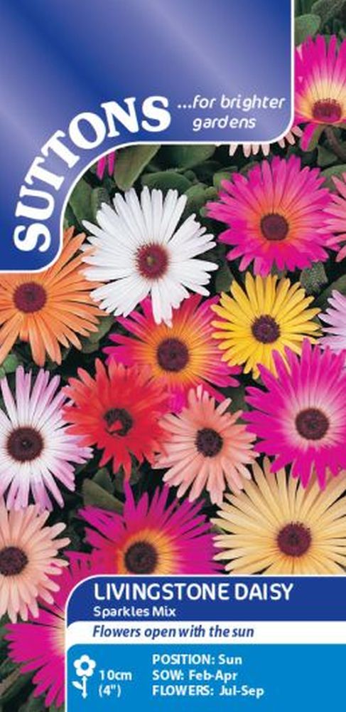 Livingstone Daisy Sparkles Mix